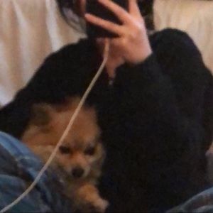 Meet your Posher, Weya